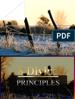 8 Divine Principles
