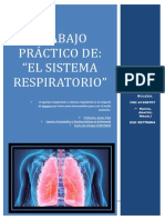 El Sistema Respiratorio
