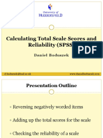 Calculating Total Scale Scores and Reliability SPSS - D.Boduszek