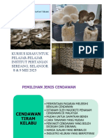 Teknik Tanaman Cendawan Tiram