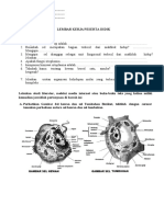 LKPD Sel Tumbuhan Dan Hewan