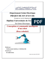 Rapport Du PFE