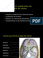 Anatomia de La Base Del Crneo