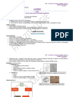 Curs 1 + LP1 - Amibe - 14.10.2021