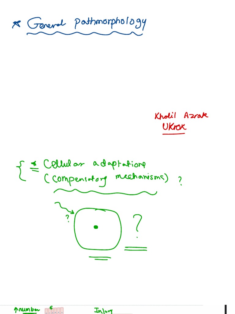 borrow visual data 7