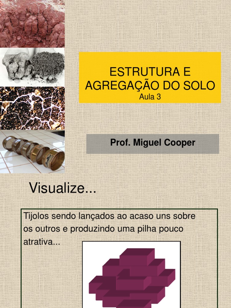 Aula 3 - Estrutura e Agregação Do Solo | PDF | Solo | Argila