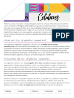 Brand Guidelines Doc in Teal Pink Slate Grey Geometric Style
