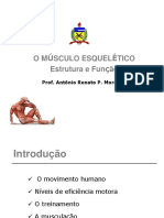 Biomecanica dos Musculos_Moro