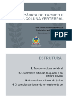 Biomecânica Membros Inferiores