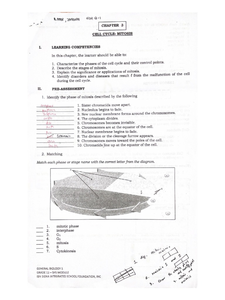 Cell Cycle Biology Diagrams