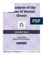 An Analysis of The Causes of Mental Illness