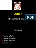 Curs Histologie