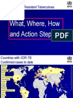 What, Where, How and Action Steps