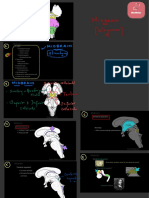 Brainstem Diagrams and Structures