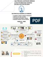 Desarrollo Humano