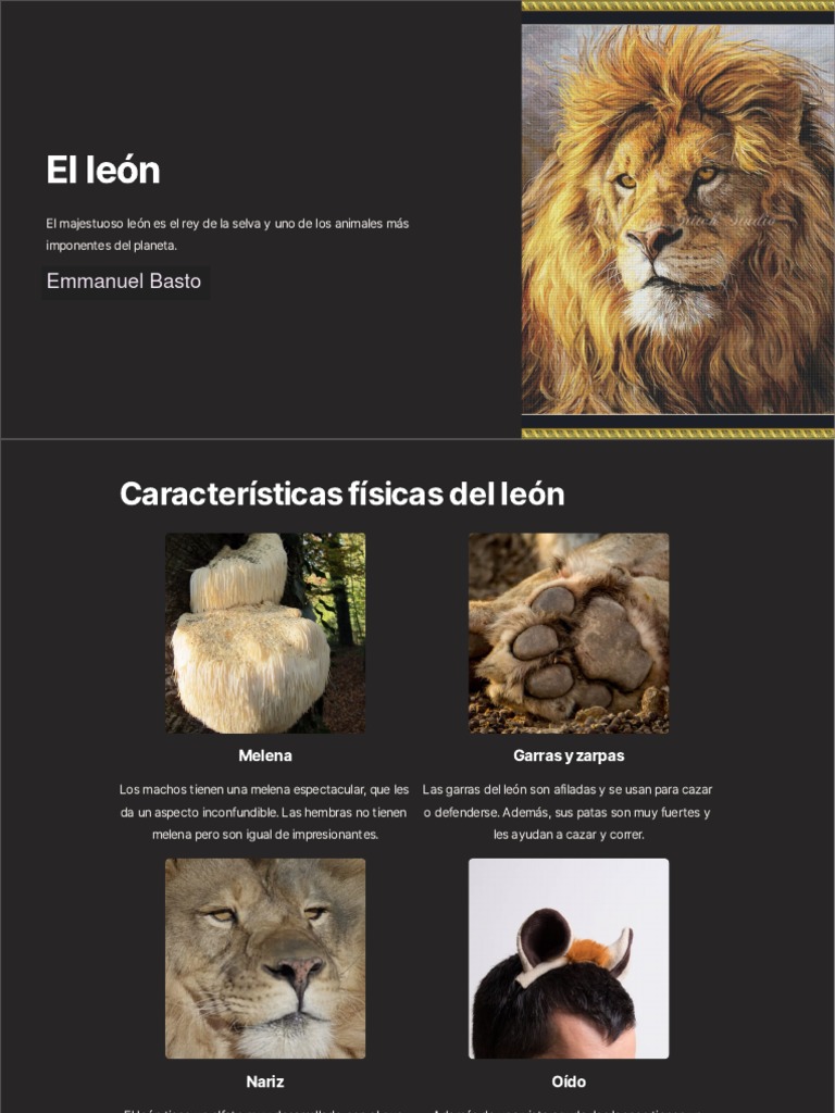 El Leon | PDF | León | Depredación