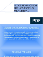 Sã Ntese Dos Hormã Nios Ovarianos e Ciclo Menstrual 3