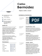 Currículum Carlos Bermúdez 2022