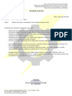 Informe Mant Reductor