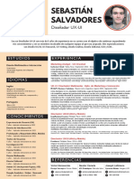 CV SSalvadores Diseñador Multimedia2022 C2