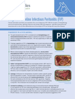 Diagnosis of Feline Infectious Peritonitis (FIP)