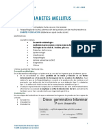 Diabetes Mellitus - Endocrinologia