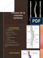 Huesos de La Columna Vertebral