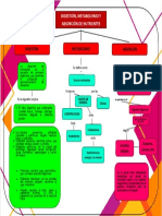 Mapa Conceptual