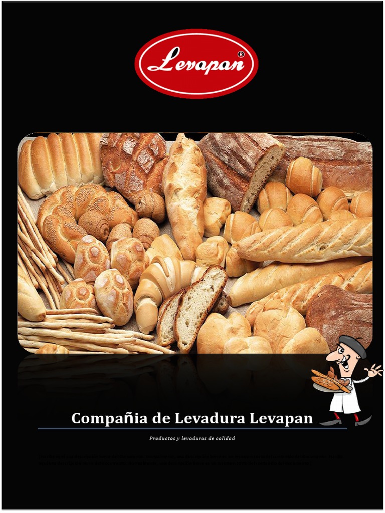 Procesos de Producción en Levapan | PDF | Panes | Planificación