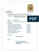 Trabajo Practico. Precipitaciones Curva IDF y PDF