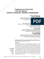 Grandcolas Et Al 2005 Cryptocercus in E Asia