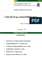 Aula 10 - Cálcio e Magnésio