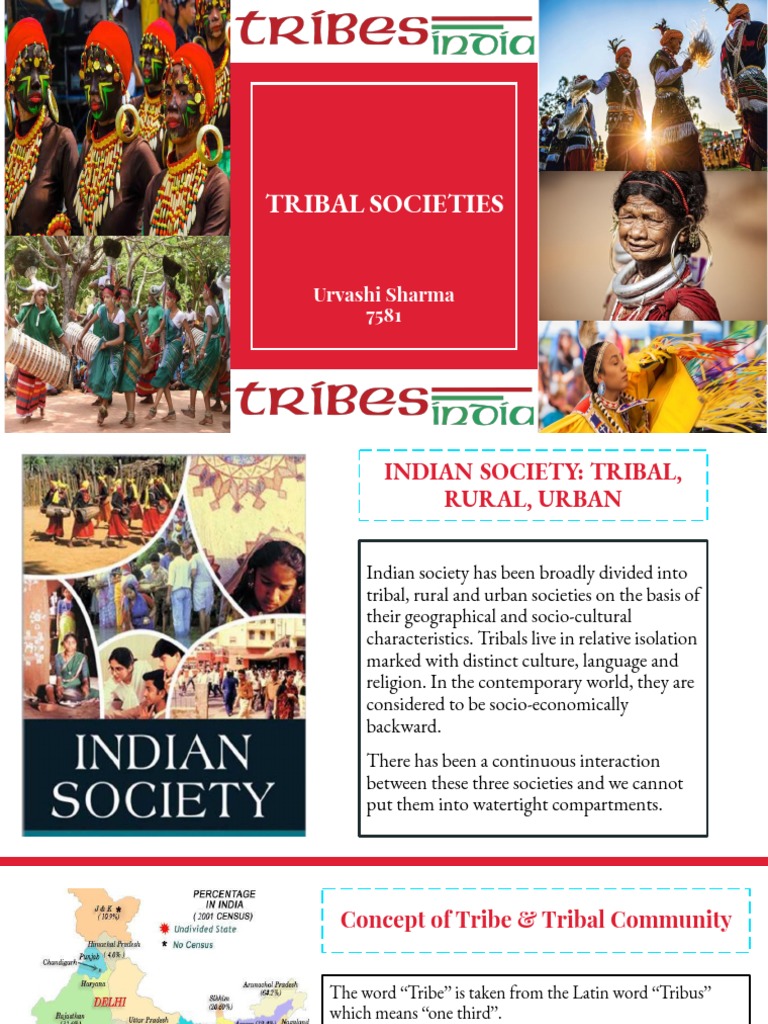 WHAT IS TRIBAL SOCIETY SHORT ANSWER intelligence overview