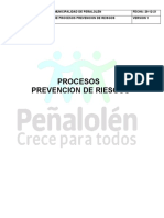 Pro. Prevencion de Riesgo Final Texto