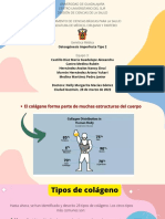 Osteogénesis Imperfecta Tipo 2