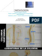 Práctica 6 Generalidades Raquis