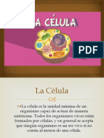 La Célula