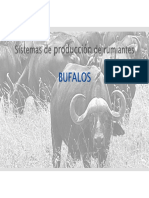 Sistemas de Producción de Bufalos 2018