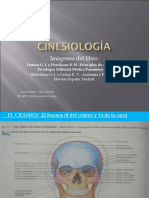 CINE-p3 Huesos Cabeza