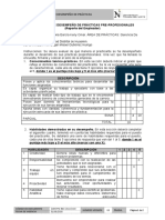 2.1 Evaluacion de Desempeño de PPP - Formato