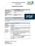 Analisis de Puesto - Christian Perez