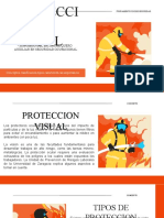 Proteccion Visual