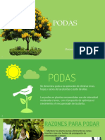 5 Podas