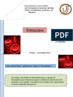 Eritrocitos en Hematologia