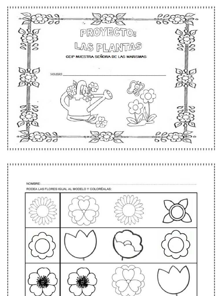 Fichas Proyecto Las Plantas | PDF