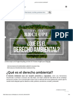 ¿Qué Es El Derecho Ambiental