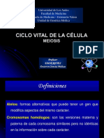 Tema 6. Meiosis Postgrado2017