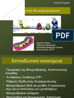 6. Οξειδωτική φωσφορυλίωση - Χ Πιπέρη