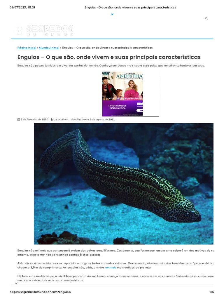 reprodu-o-e-caracter-sticas-das-enguias-pdf-mar-peixes