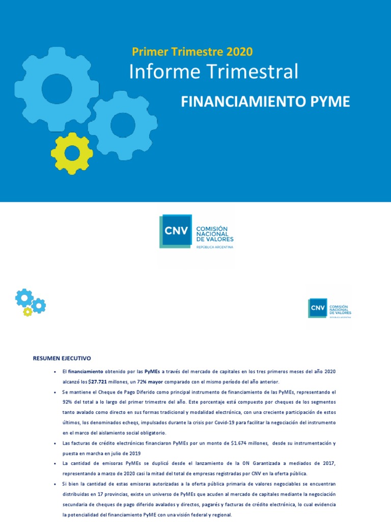 Informe Trimestral Pyme Primer Trimestre 2020 Definitivo v2 | PDF ...